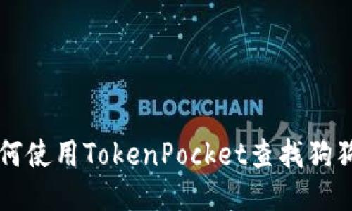 如何使用TokenPocket查找狗狗币