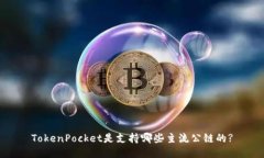 TokenPocket是支持哪些主流公