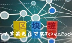 为什么苹果无法下载Toke