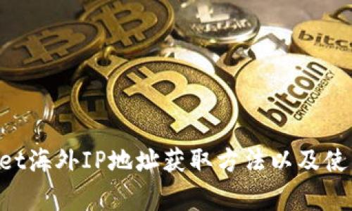 TokenPocket海外IP地址获取方法以及使用注意事项