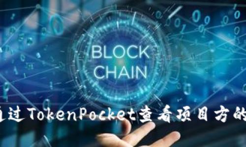 如何通过TokenPocket查看项目方的信息？