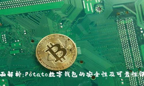 全面解析：Potato数字钱包的安全性及可靠性评估