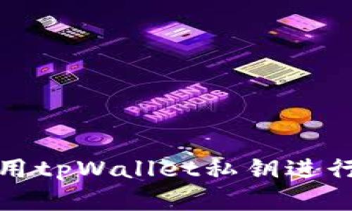 如何安全地使用tpWallet私钥进行数字资产管理
