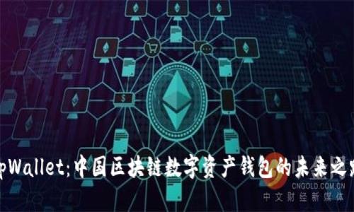 tpWallet：中国区块链数字资产钱包的未来之路