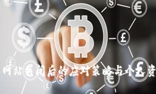 区块链钱包网站关闭后的应对策略与个人资产保护指南