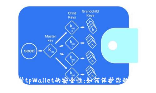 全面解析tpWallet的安全性：如何保护你的数字资产？