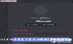 tpWallet里的币消失了是什么