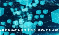 全面解析新加坡加密货币