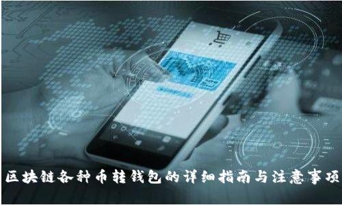 区块链各种币转钱包的详细指南与注意事项