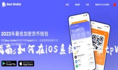 详细指南：如何在iOS系统