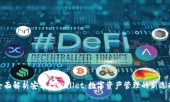 全面解析安卓tpWallet：数字