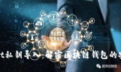 tpWallet私钥导入：解密区块
