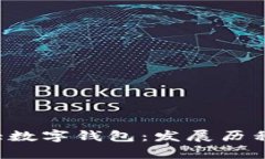 深度解析日本最大数字钱