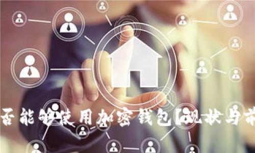 中国是否能够使用加密钱包？现状与前景分析