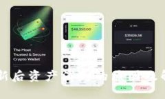 tpWallet更新后资产消失的原