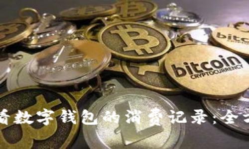 如何查看数字钱包的消费记录：全方位指南