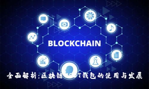 全面解析：区块链USDT钱包的使用与发展