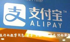 最流行的数字钱包：安全