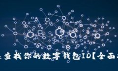 : 如何快速查找你的数字钱