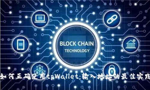 如何正确使用tpWallet：输入地址的最佳实践