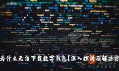 : 为什么无法下载数字钱包