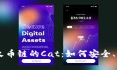 深入了解tpWallet火币链的Cat：如何安全、高效地管