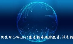 如何使用tpWallet查看持币地址数量：详尽指南