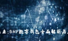 数字化未来：BHP数字钱包