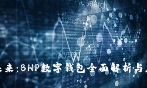 数字化未来：BHP数字钱包全面解析与应用前景