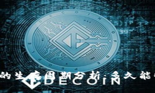 区块链钱包的生存周期分析：多久能够安全使用？