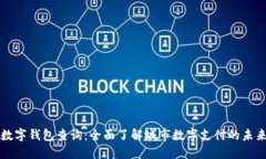 成都数字钱包查询：全面了解城市数字支付的未