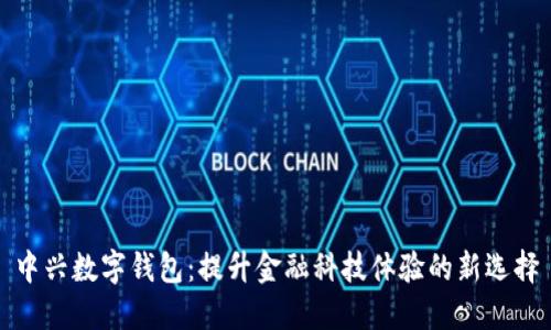 中兴数字钱包：提升金融科技体验的新选择