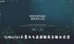 tpWallet不翼而飞原因解析及解决方案
