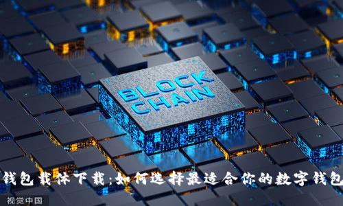 数字钱包载体下载：如何选择最适合你的数字钱包应用