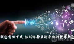 数字钱包载体下载：如何选择最适合你的数字钱