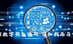 如何设置建行数字钱包密码：详细指南与常见问