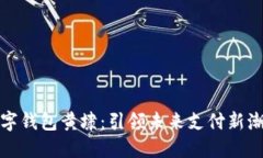 数字钱包黄埭：引领未来支付新潮流