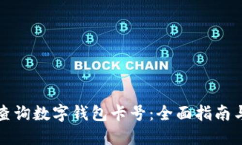 如何快速查询数字钱包卡号：全面指南与实用技巧