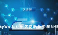 全面探讨tpWallet：如何获取和管理BNB收款地址