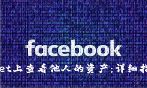 如何在tpWallet上查看他人的资产：详细指南与注意事项