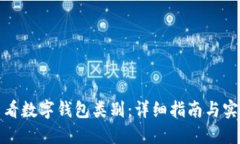 如何查看数字钱包类别：详细指南与实用技巧