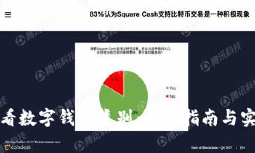 如何查看数字钱包类别：详细指南与实用技巧