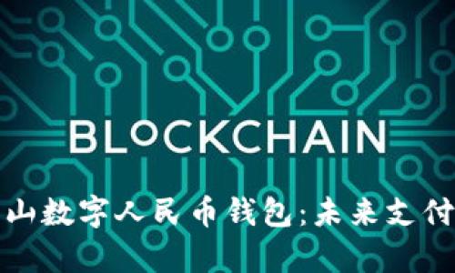 全面解析中山数字人民币钱包：未来支付的智能选择