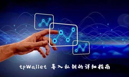 tpWallet 导入私钥的详细指南