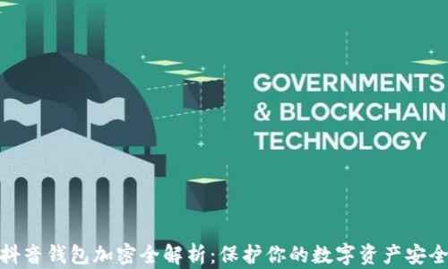 
抖音钱包加密全解析：保护你的数字资产安全