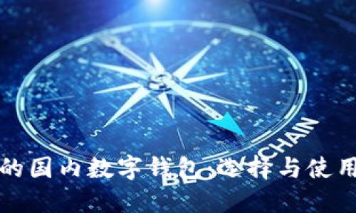 安全的国内数字钱包：选择与使用指南