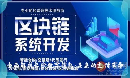 全面解析长沙数字钱包：未来的支付革命