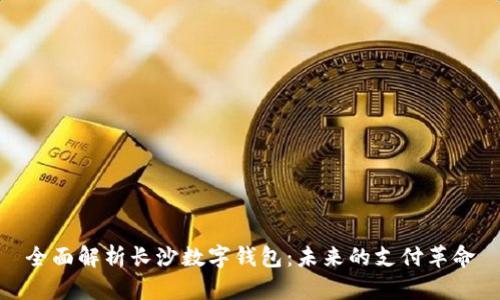 全面解析长沙数字钱包：未来的支付革命