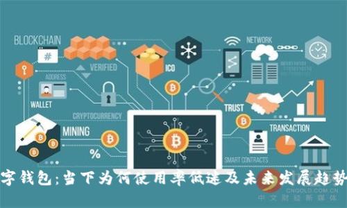 : 数字钱包：当下为何使用率低迷及未来发展趋势解析