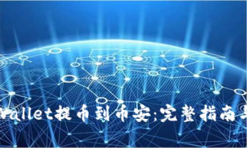 如何将tpWallet提币到币安：完整指南与注意事项